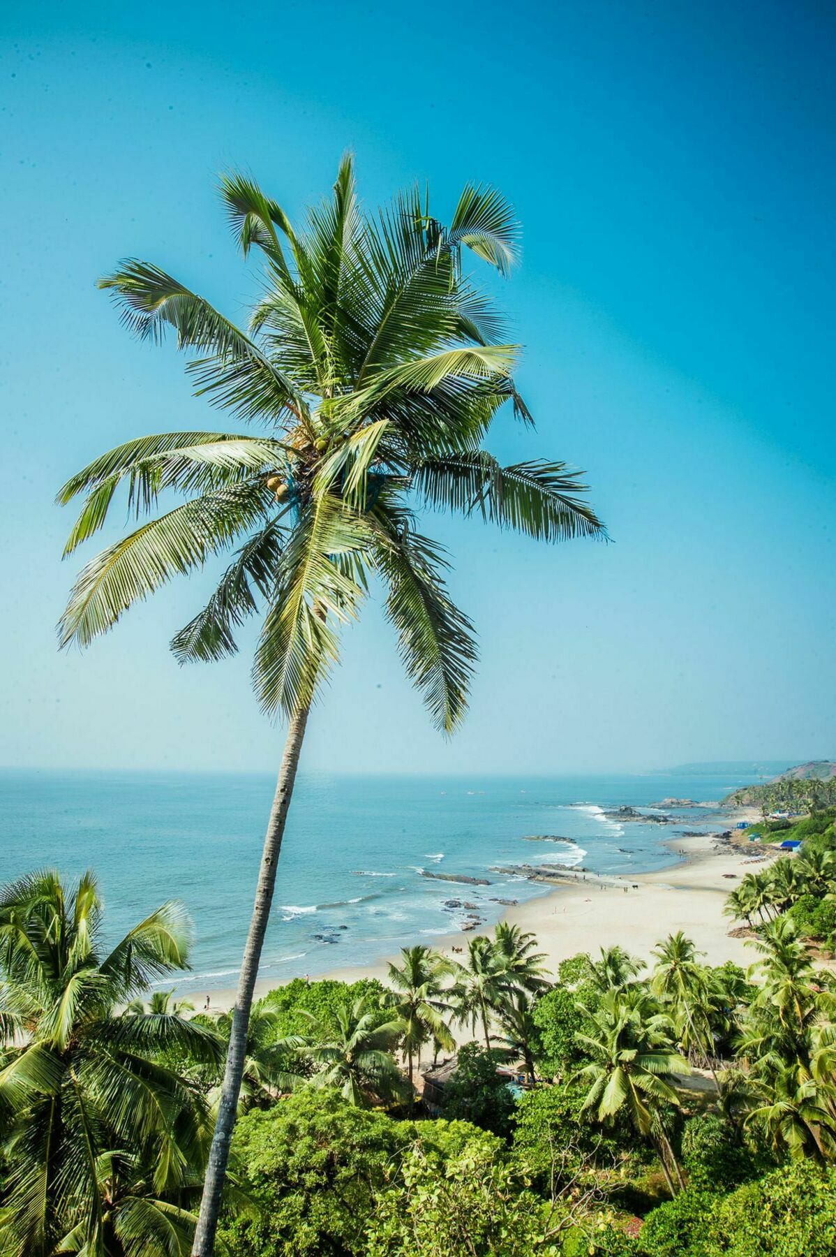 Aria Beach Resort Вагатор Екстер'єр фото